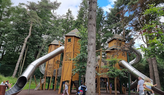 Best Birthday Party in Royal Hillsborough party guide