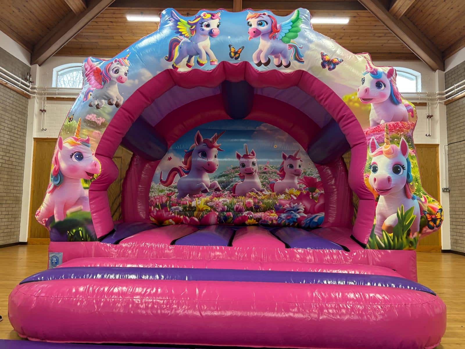 pink pony bouncy castle party bookings in Ballymena